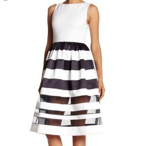 NWT Alice & Olivia Elegant Dress